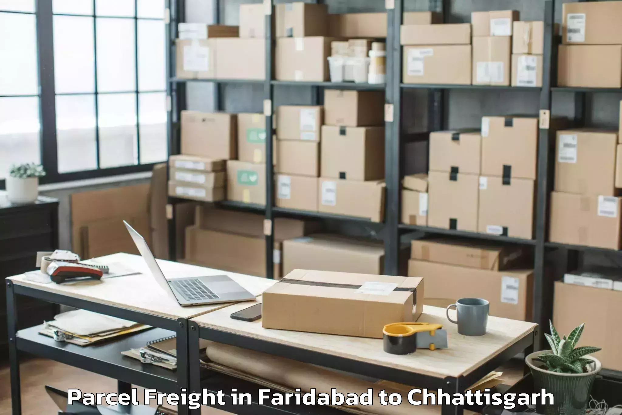 Affordable Faridabad to Akaltara Parcel Freight